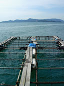 บรรยากาศชายหาดเกาะรังใหญ่ อ.เมือง จ.ภูเก็ต